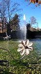 IMG_20231128_112907331