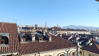 IMG_20231128_101342591_BURST001