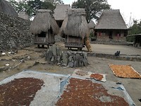 IMG_20180928_124116