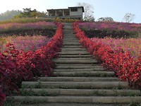 IMG_20180928_171036