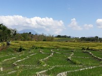 IMG_20180929_130134
