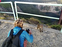 IMG_20181002_061124