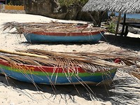IMG_20181002_113340
