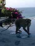 IMG_20181009_162700