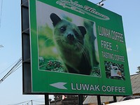 IMG_20181010_111910