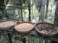 IMG_20181010_112156