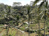 IMG_20181010_114239