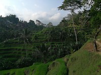 IMG_20181011_162009
