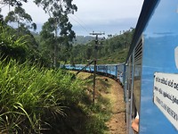 treinrit