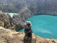 Kelimutu crater lakes