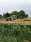 hooien