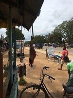 Bistro Sumbawanga