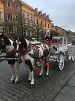 Met paard en koets door de stad.