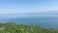 Skadar meer