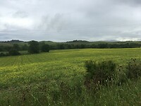 Toscaans landschap