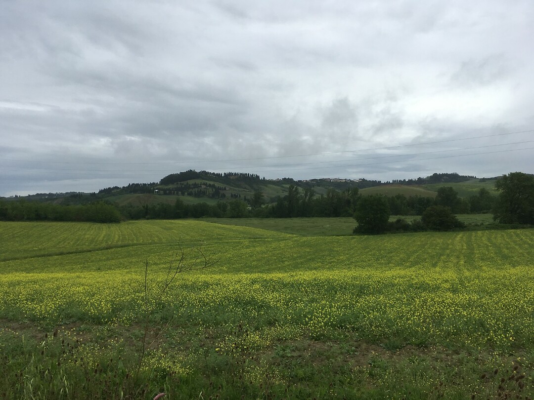 Toscaans landschap