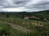 Toscaans boerderijtje met links in de verte San Gimignano