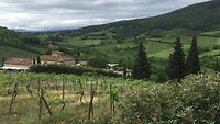 De prachtige omgeving van San Gimignano.
