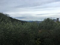 Uitzicht vanaf het buitenterras, B&B Agriturismo Vecchio Frantoio