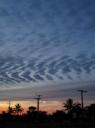 IMG_0413-550