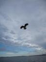 IMG_0002-550