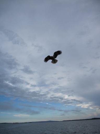 IMG_0002-550