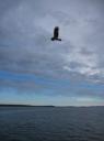 IMG_0004-550