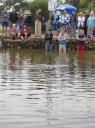 IMG_0017-550