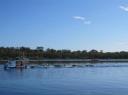 IMG_0066-550