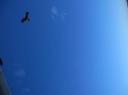 IMG_0072-550
