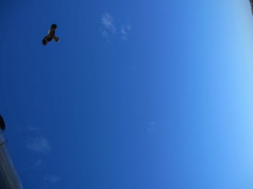 IMG_0072-550