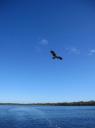IMG_0074-550