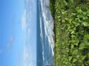 IMG_0164-550