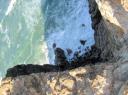 IMG_0186-550