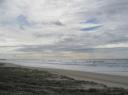 IMG_0233-550
