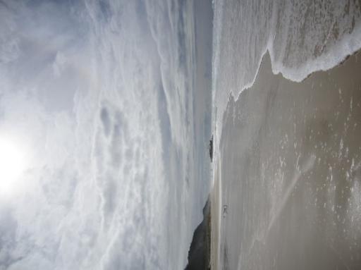 IMG_0240-550