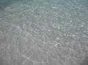 IMG_4182-550