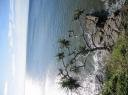 IMG_0504-550