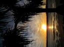 IMG_0553-550