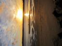 IMG_0555-550