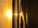IMG_0562-550