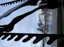 IMG_0649-550