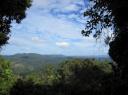 IMG_0168-550