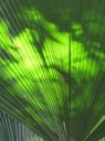 IMG_0187-550