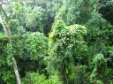 IMG_0353-550