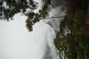 DSC_0148