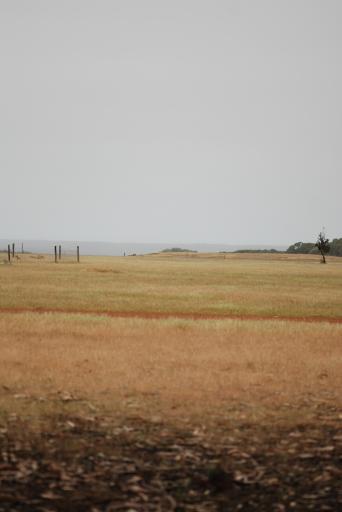 australie639