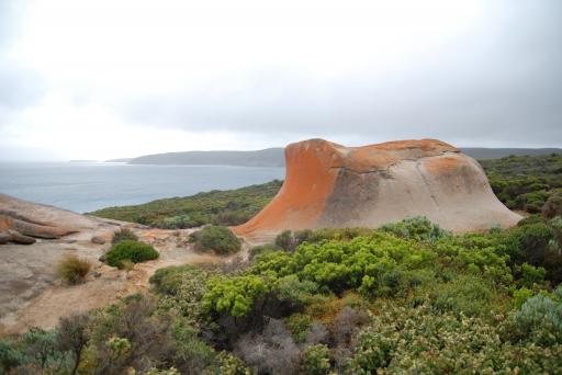 australie649