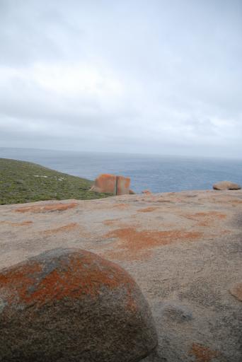 australie651
