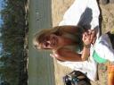 IMG_1054-550